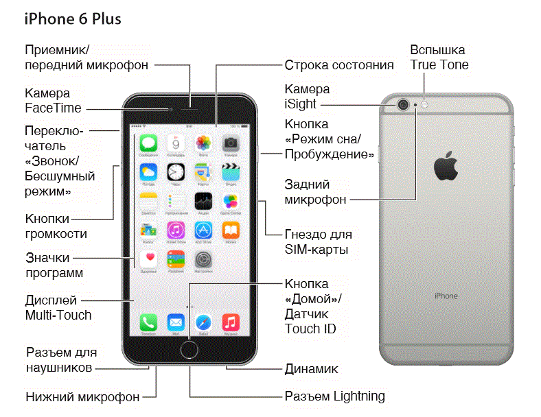 Строение телефона. Датчики айфон 6s расположение. Iphone 12 датчики спереди. Айфон 6 плюс расположение датчиков. Датчики на айфон 11 спереди.